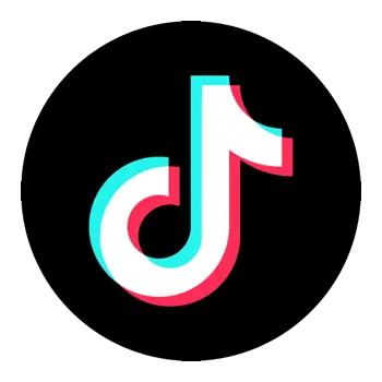 Tiktok Icon